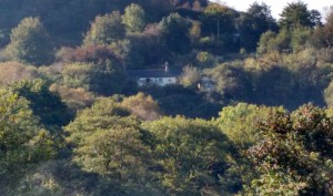 Sally's house in Carmarthenshire